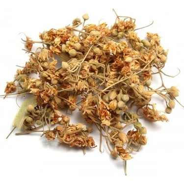 IHLAMUR ÇİÇEK
